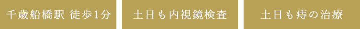 千歳船橋駅 徒歩3分 土日も内視鏡検査 土日も痔の治療