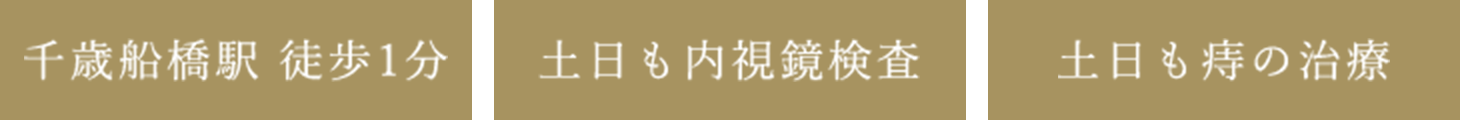 千歳船橋駅 徒歩1分 土日も内視鏡検査 土日も痔の治療